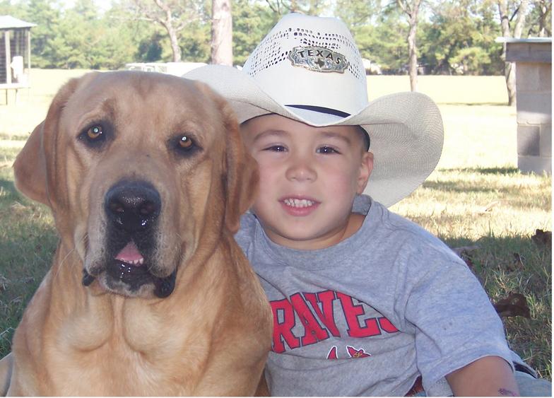 yellow lab puppies for sale - Damascus Way Labradors