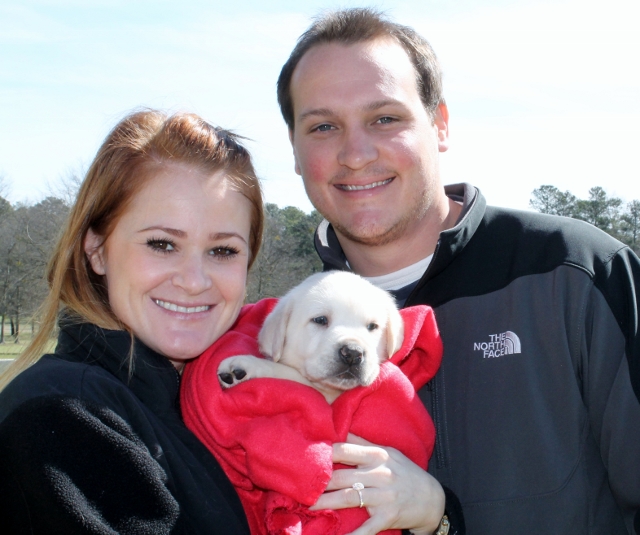 White lab puppies for sale - Damascus Way Labradors