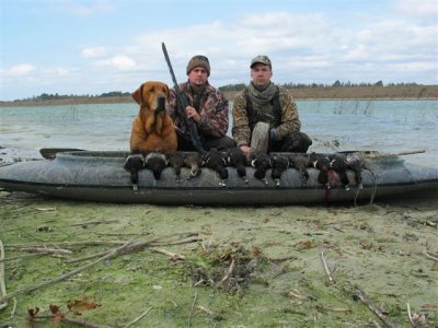 fox red labrador puppy for sale-duck dog