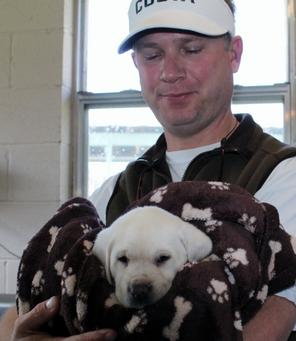 White labs for sale - Damascus Way Labradors