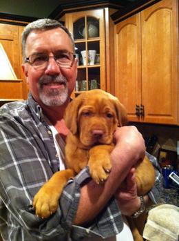 Fox red lab puppies for sale - Damascus Way Labradors